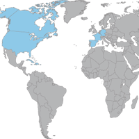 world_map